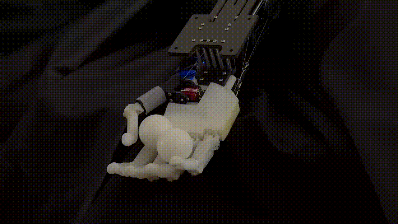 20250126_101721_227.gif 4.gif.gif