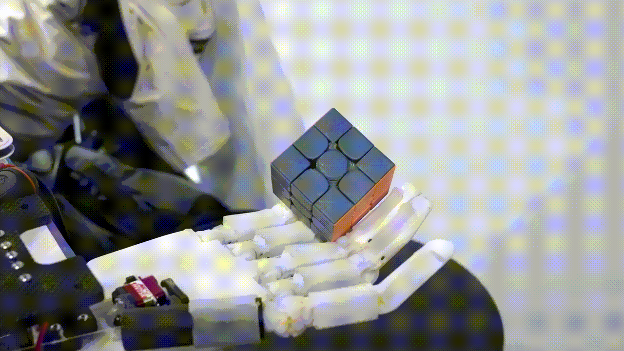 1737799666490267.gif 5.gif.gif