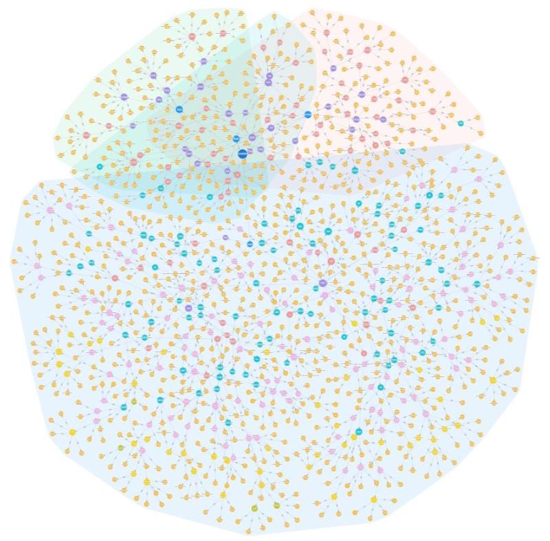 1741748482676101.jpg 20250312_100645_588.jpg