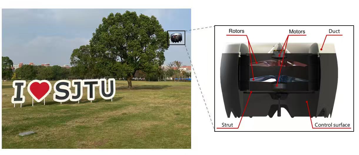 1755310667506144.jpg 2.jpg