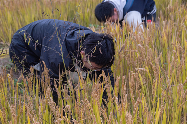 1700567109591419.jpg 圖二.jpg