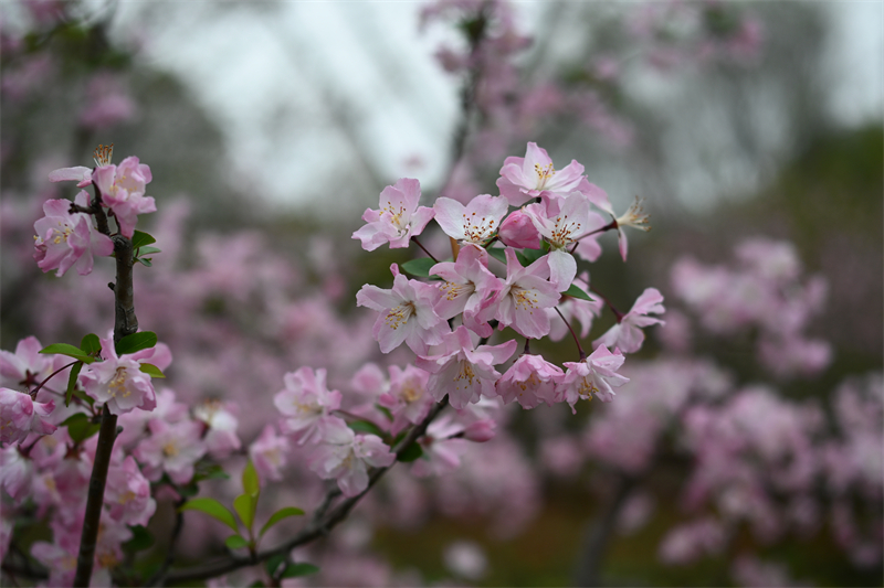 1744032947661840.jpg 圖4.jpg